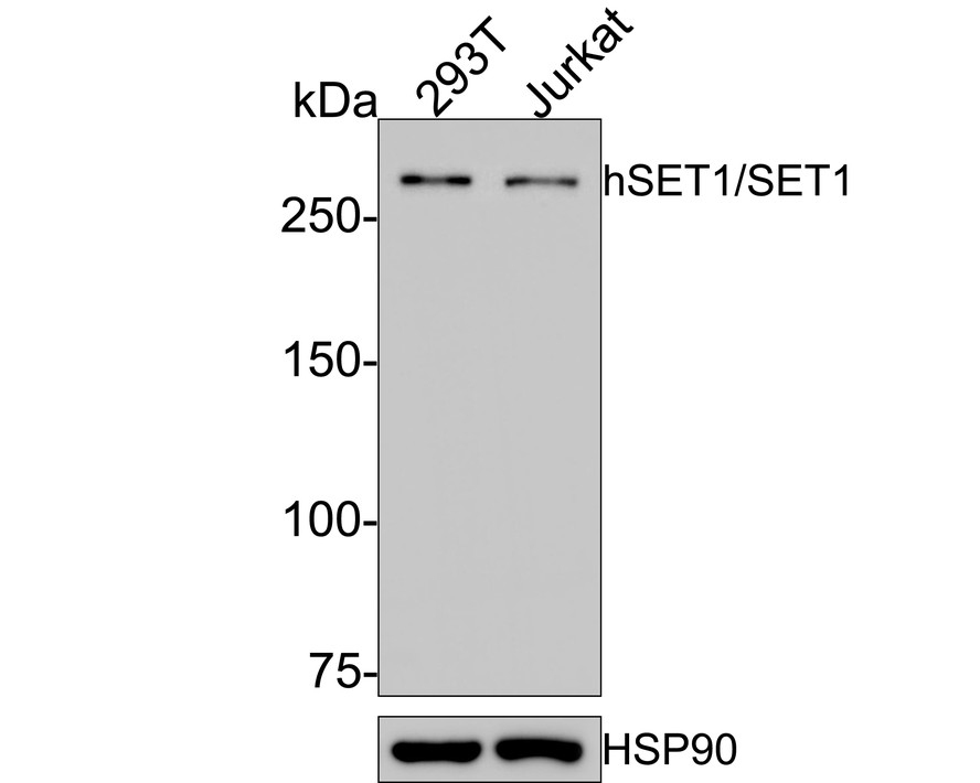 HA750554_1.jpg