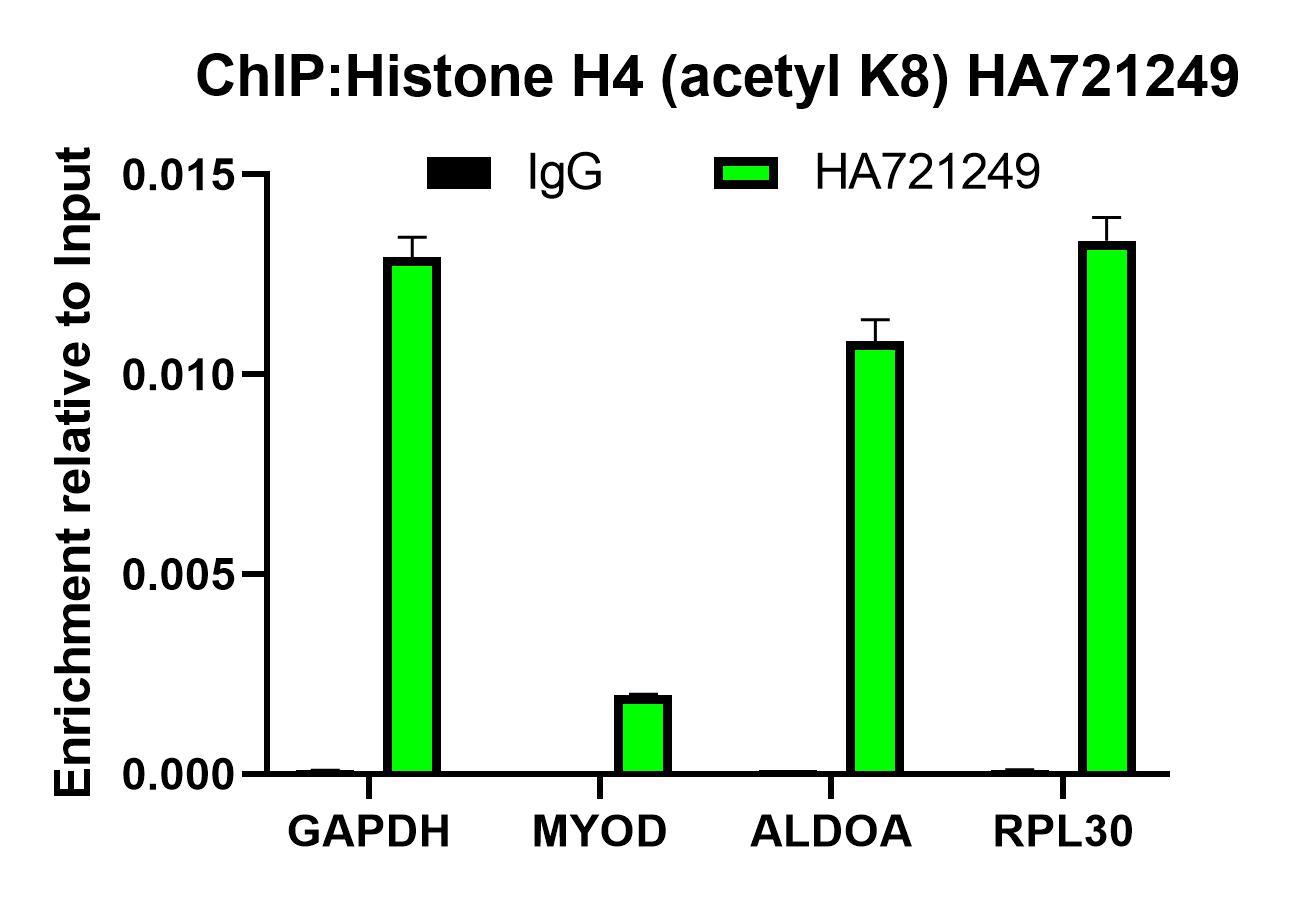 HA750568_6.jpg