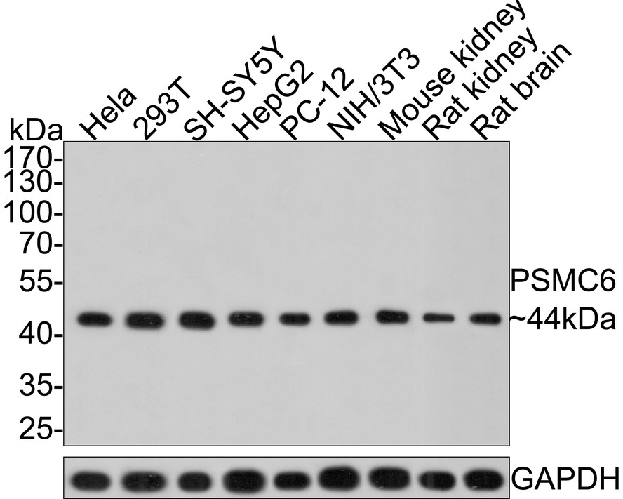 HA750582_1.jpg