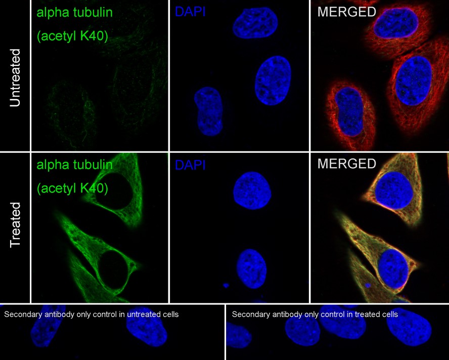 HA750583_2.jpg