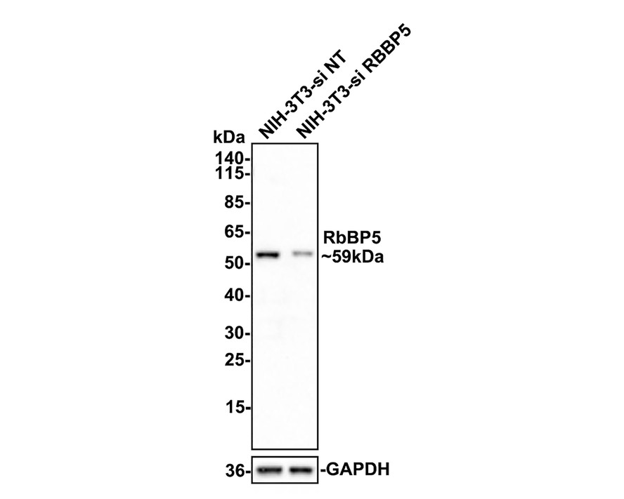 HA750585_2.jpg