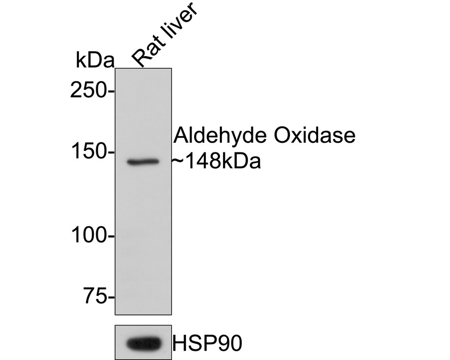 HA750589_1.jpg