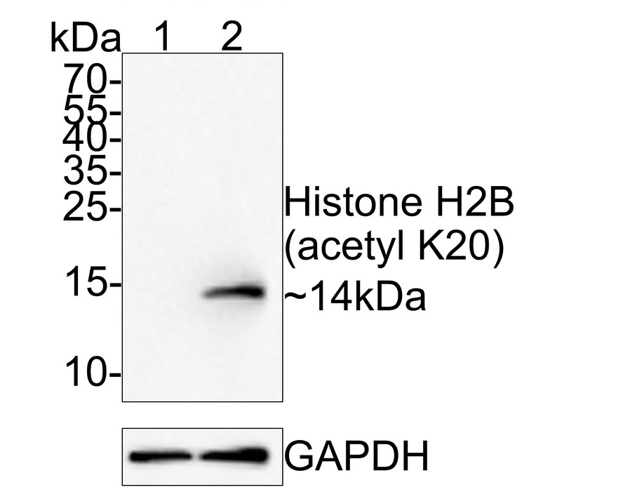 HA750592_1.jpg