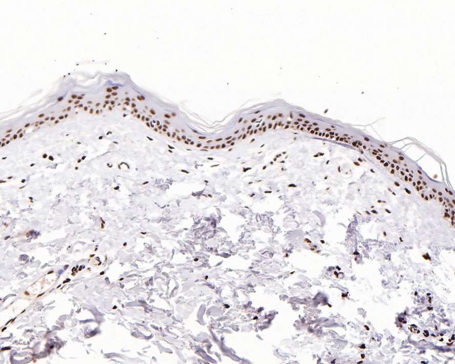 HA750592_3.jpg