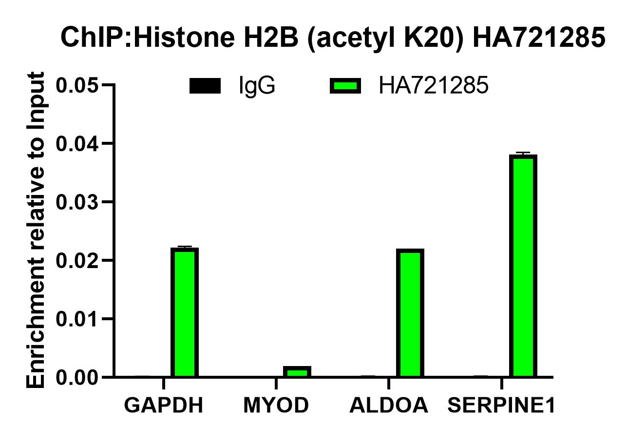 HA750592_8.jpg