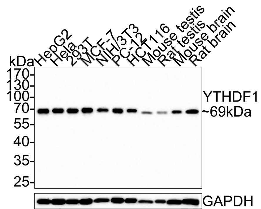 HA750597_1.jpg