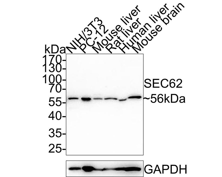 HA750599_2.jpg