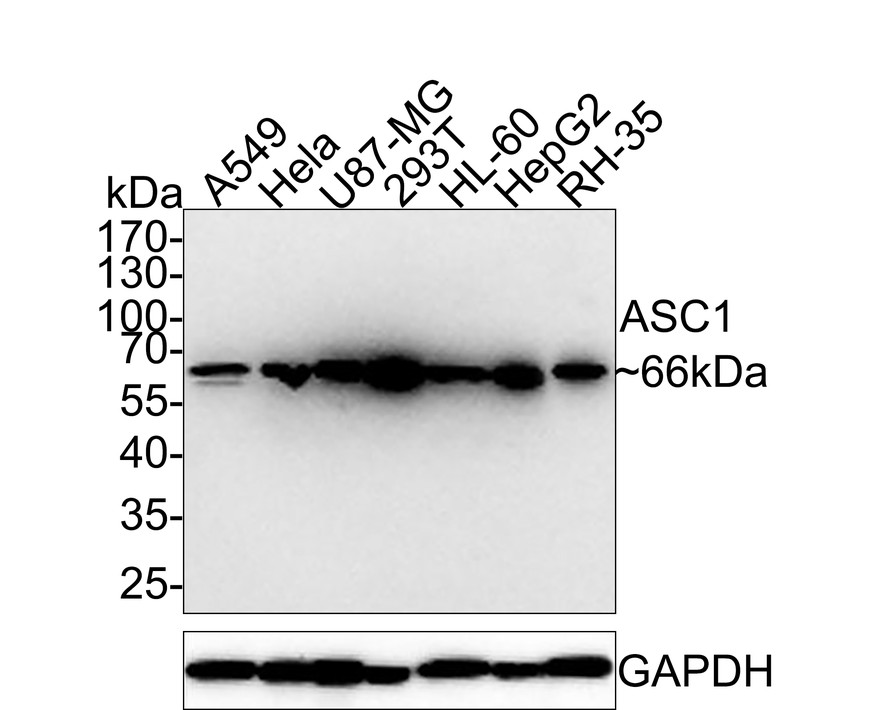 HA750600_1.jpg