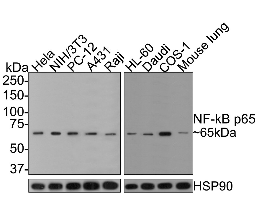 HA750601_2.jpg