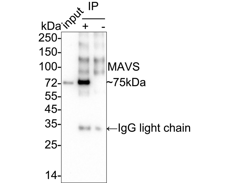 HA750604_5.jpg