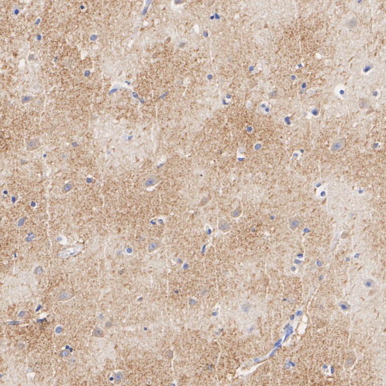 HA750606_6.jpg