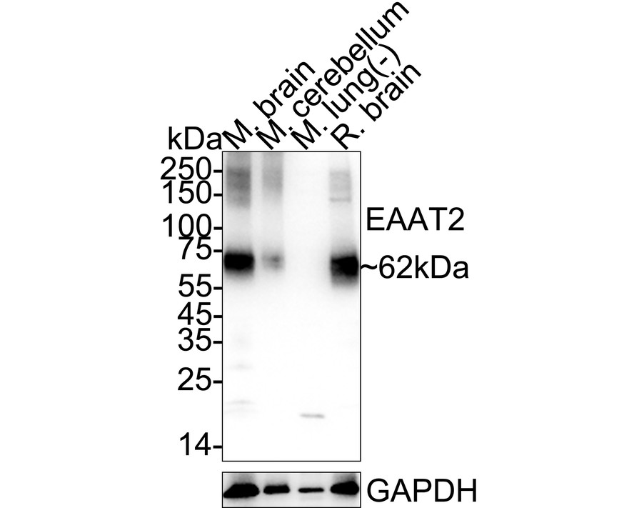 HA750609_3.jpg