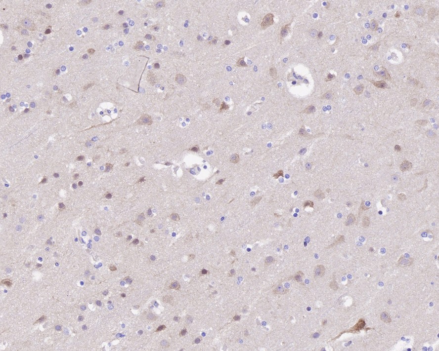 HA750626_3.jpg