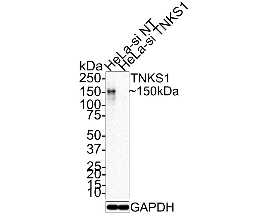 HA750628_2.jpg