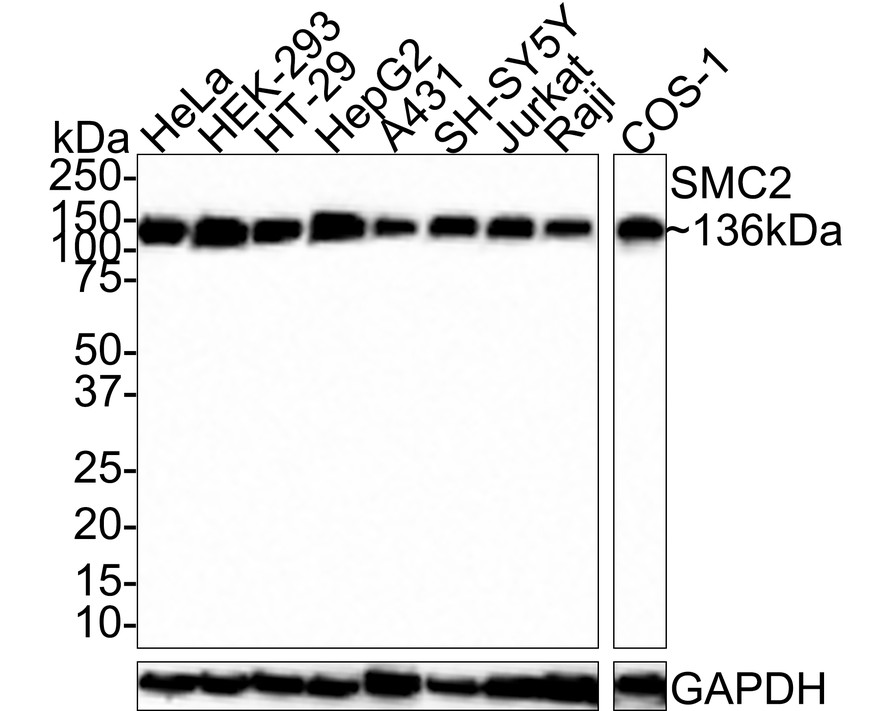 HA750639_1.jpg