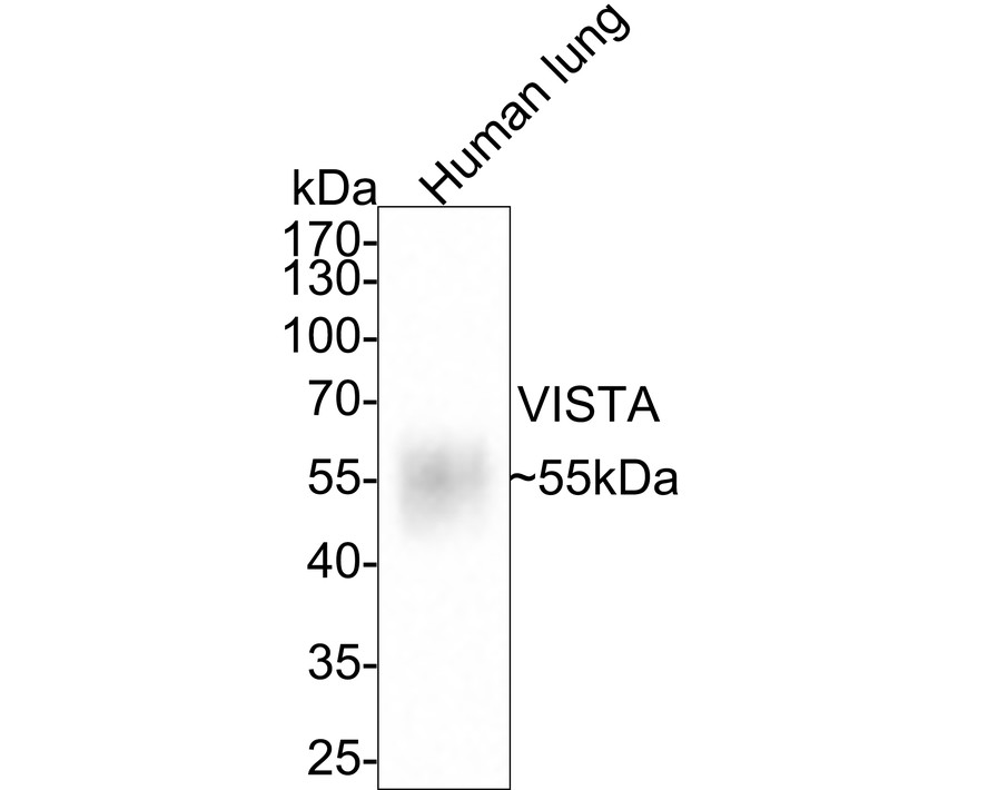 HA750642_1.jpg