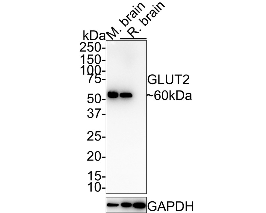 HA750645_2.jpg