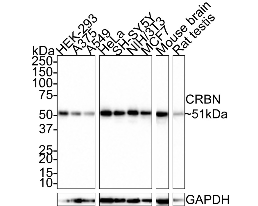 HA750646_1.jpg
