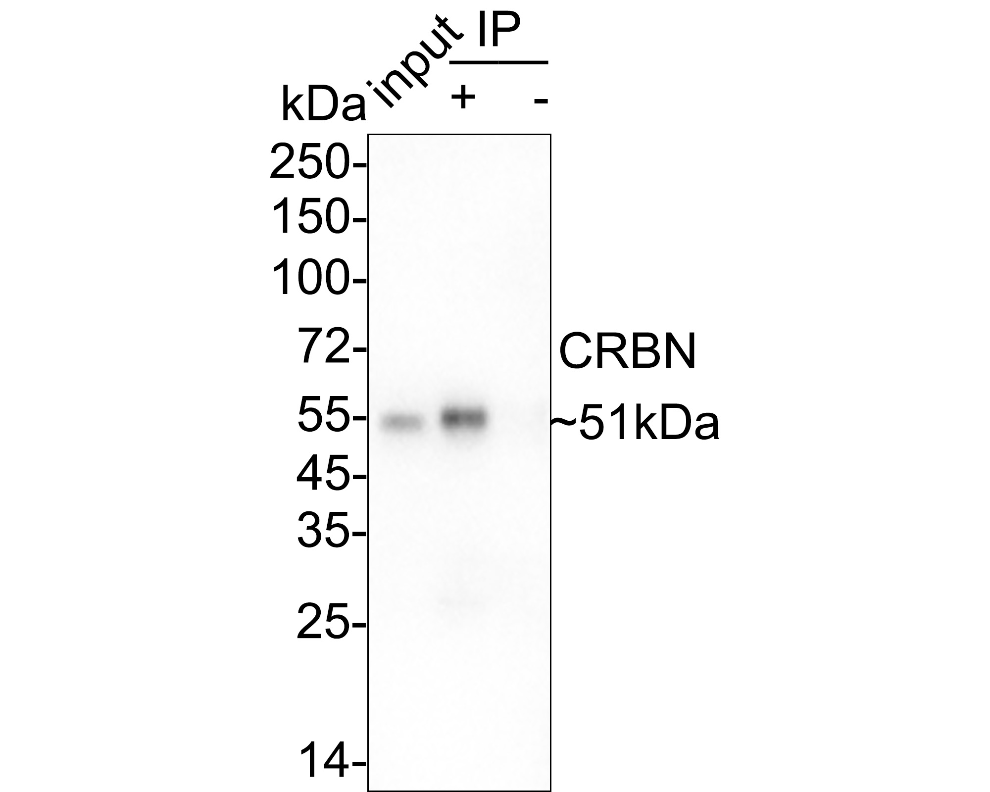HA750646_5.jpg