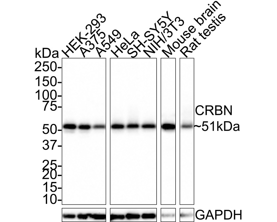 HA750647_1.jpg