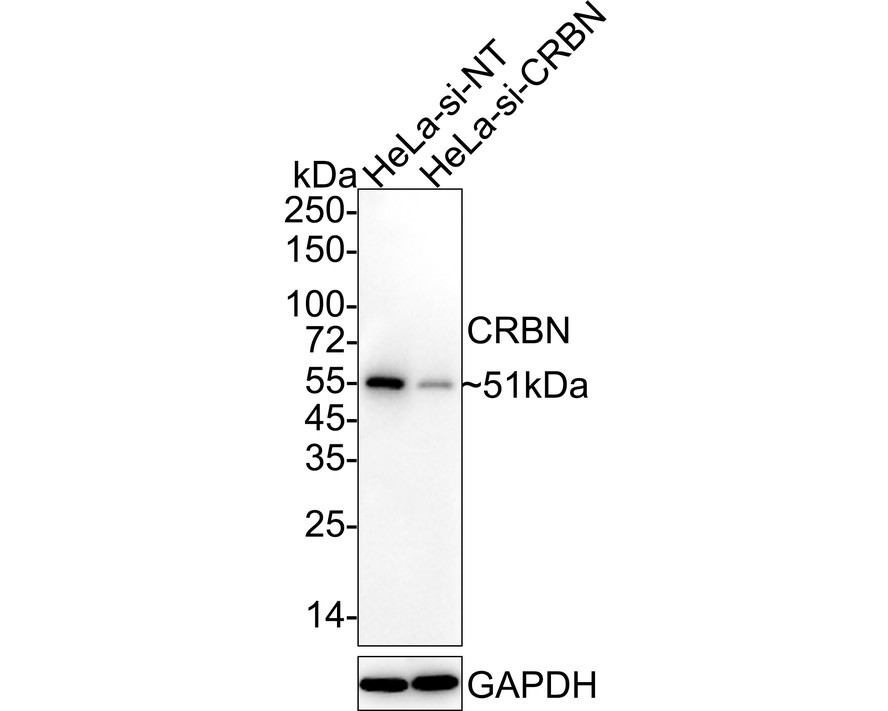 HA750647_5.jpg