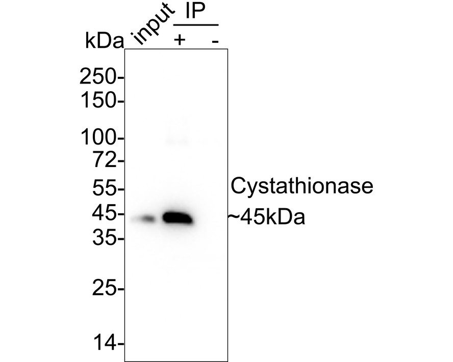 HA750649_2.jpg