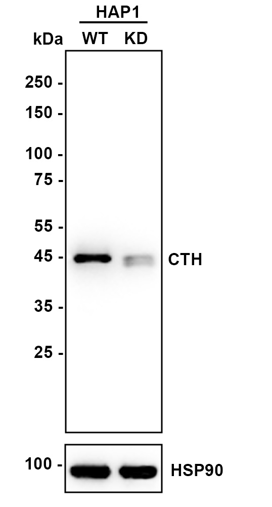 HA750649_3.jpg