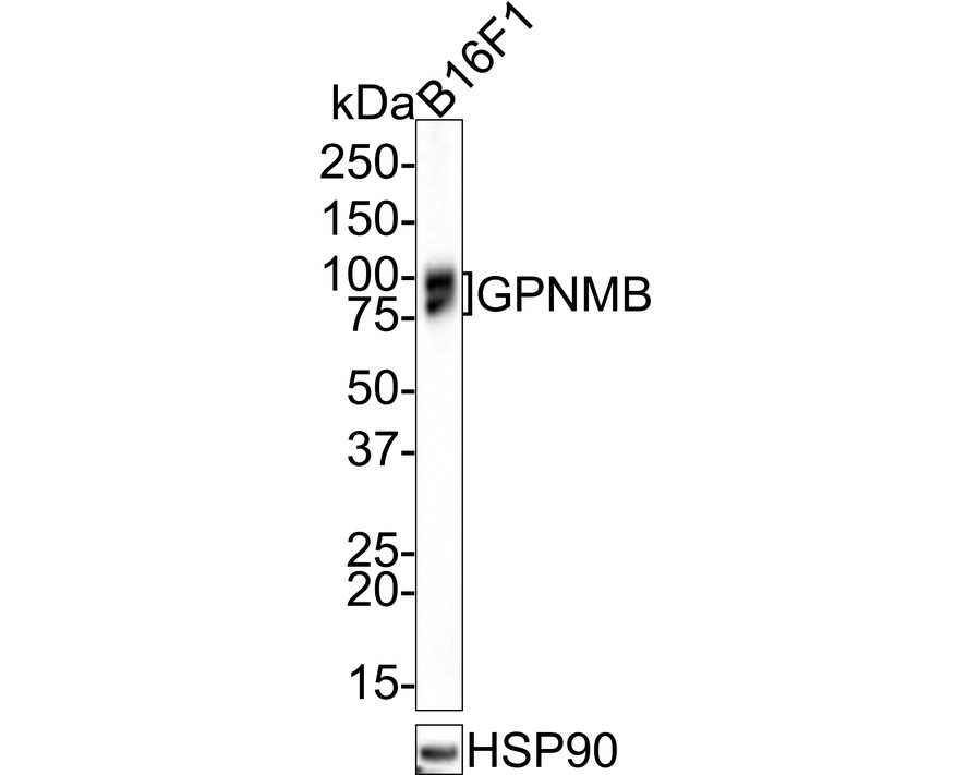 HA750662_2.jpg