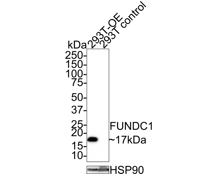 HA750672_1.jpg