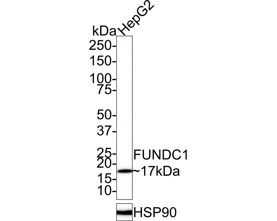 HA750672_2.jpg