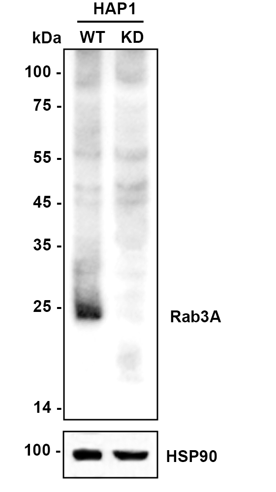 HA750683_2.jpg