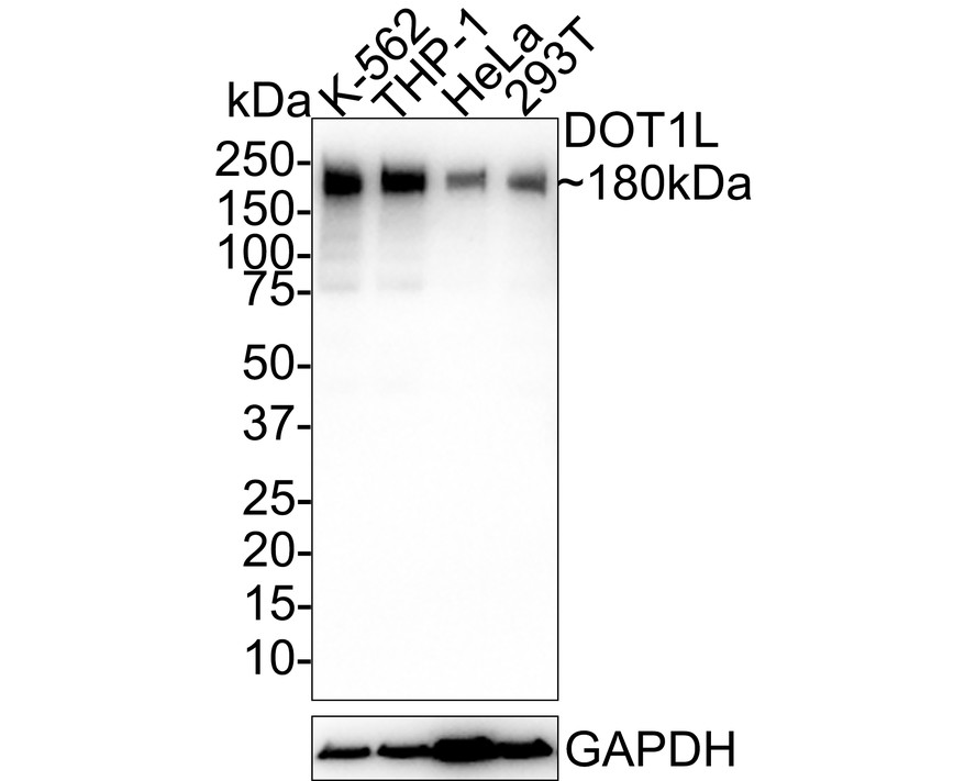 HA750733_1.jpg