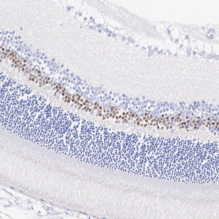 HA750737_5.jpg