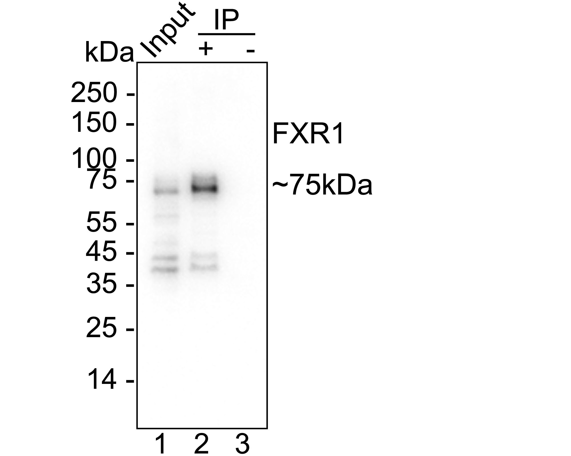 HA750743_8.jpg