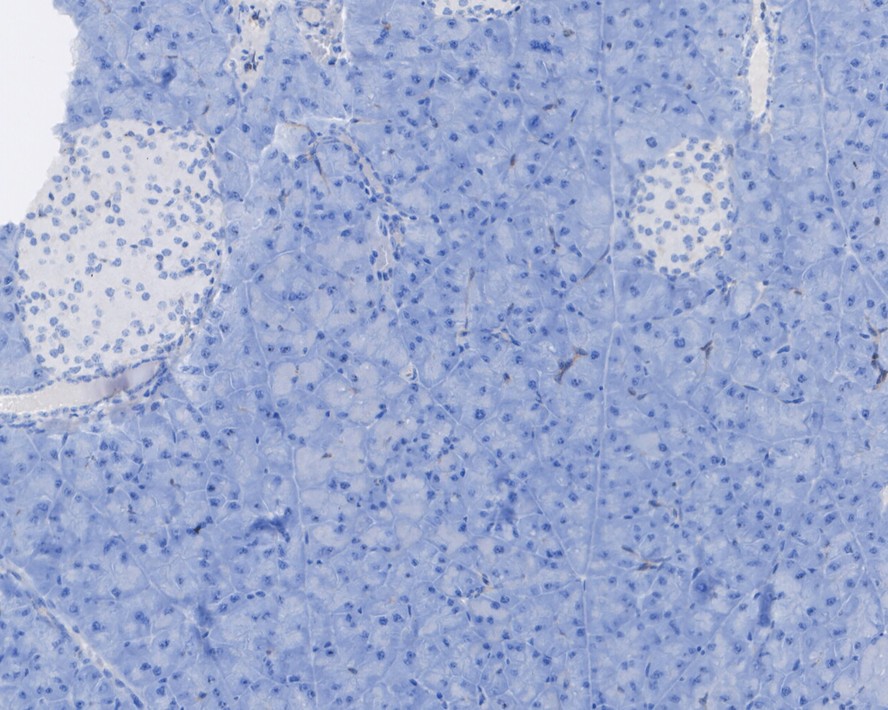 HA750756_4.jpg