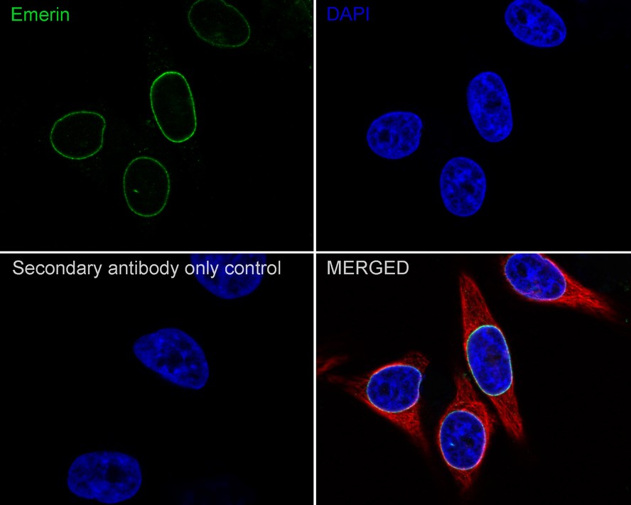 HA750759_5.jpg
