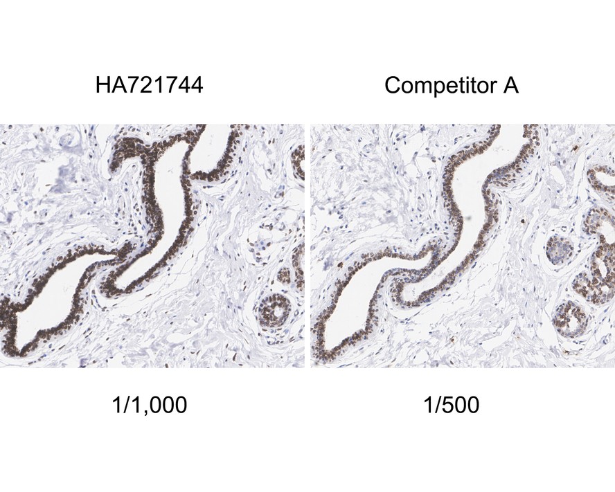 HA750760_4.jpg