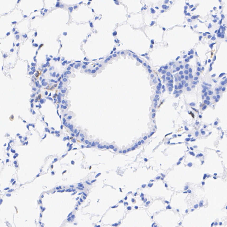 HA750761_4.jpg