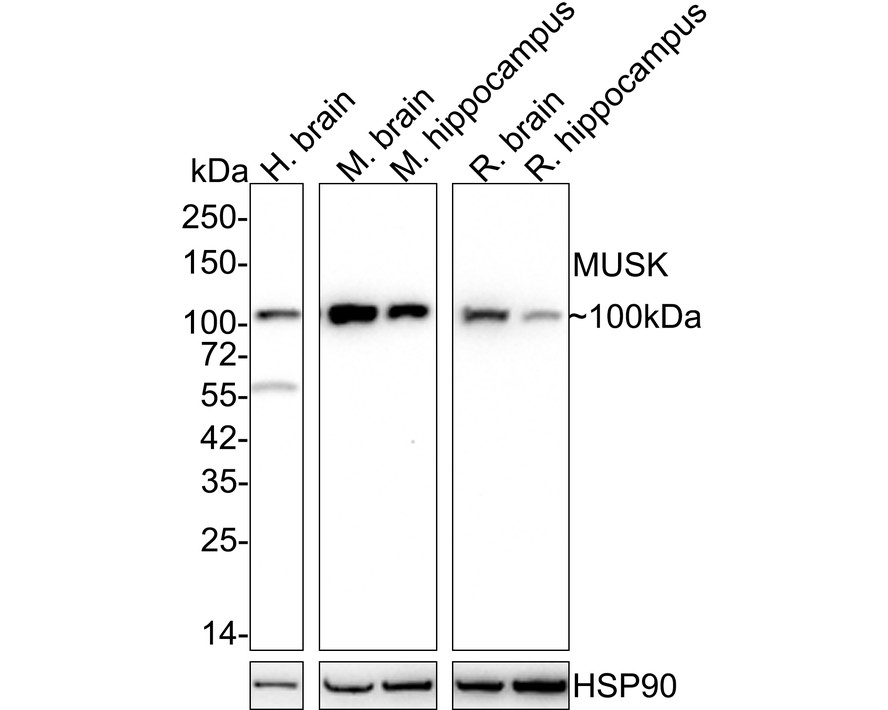 HA750797_1.jpg