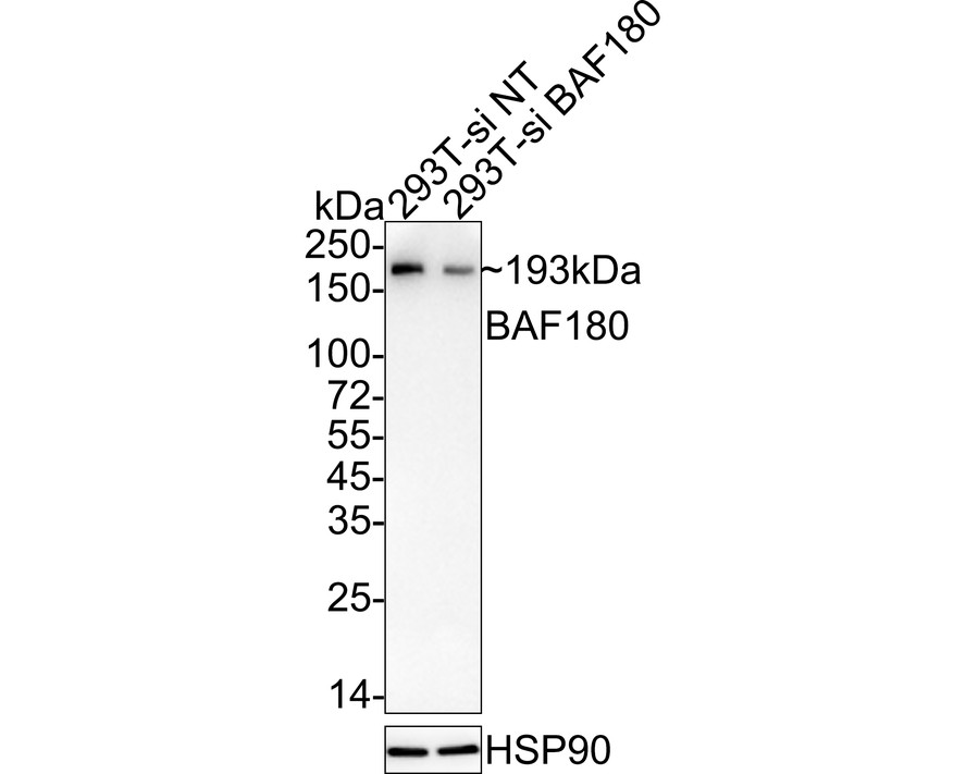 HA750799_10.jpg