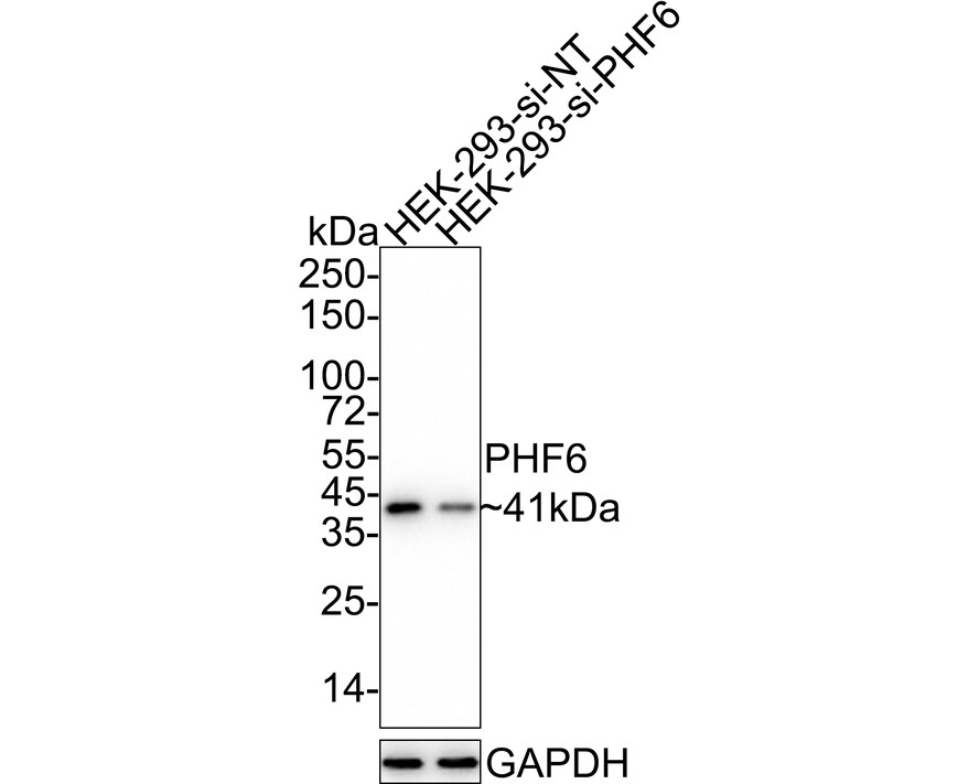 HA750800_4.jpg