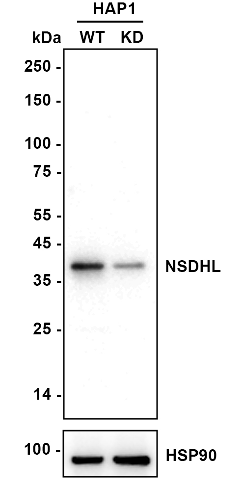 HA750802_2.jpg