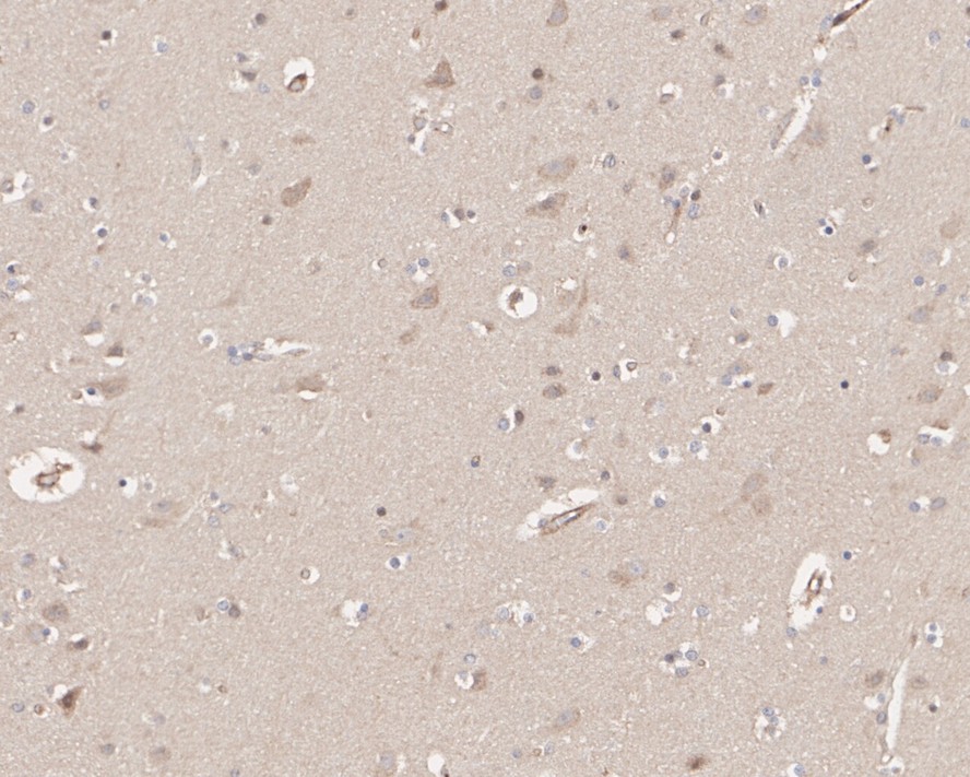 HA750803_2.jpg