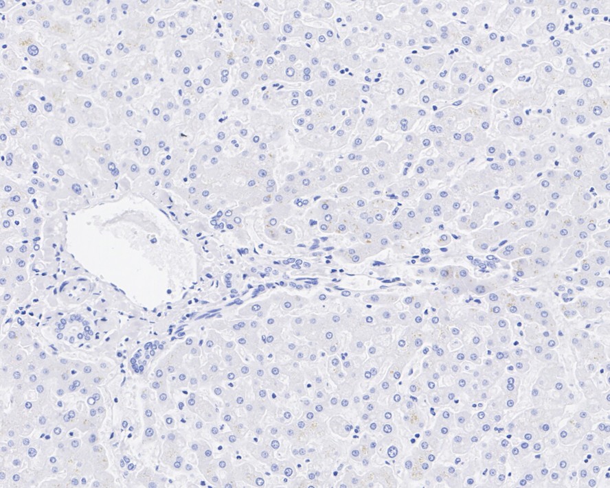 HA750806_13.jpg