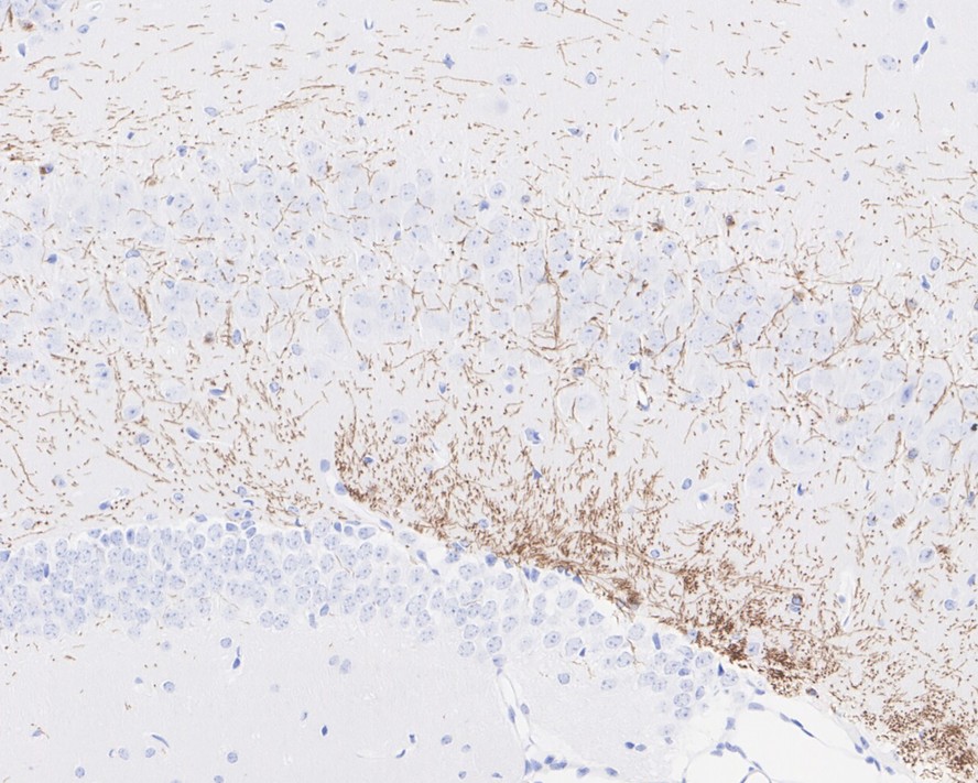 HA750806_15.jpg