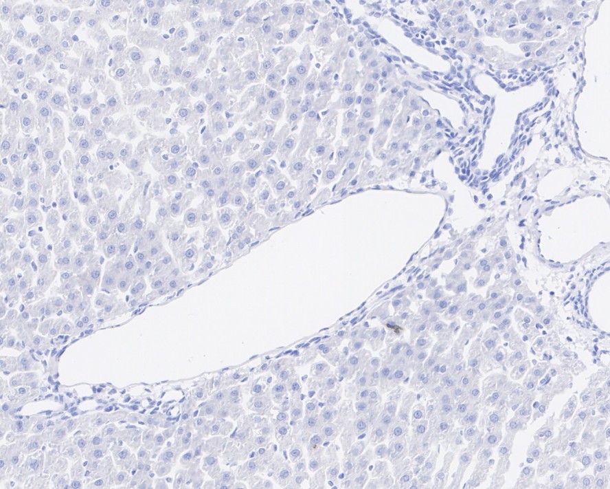 HA750806_19.jpg