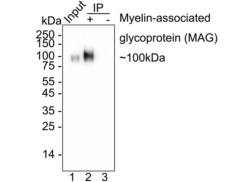 HA750806_20.jpg