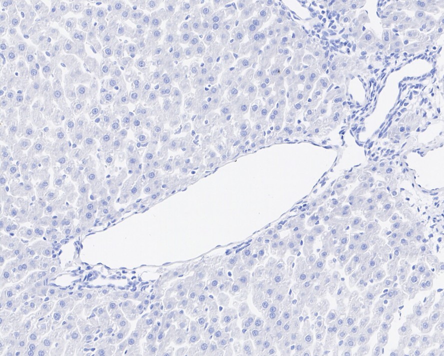 HA750807_11.jpg