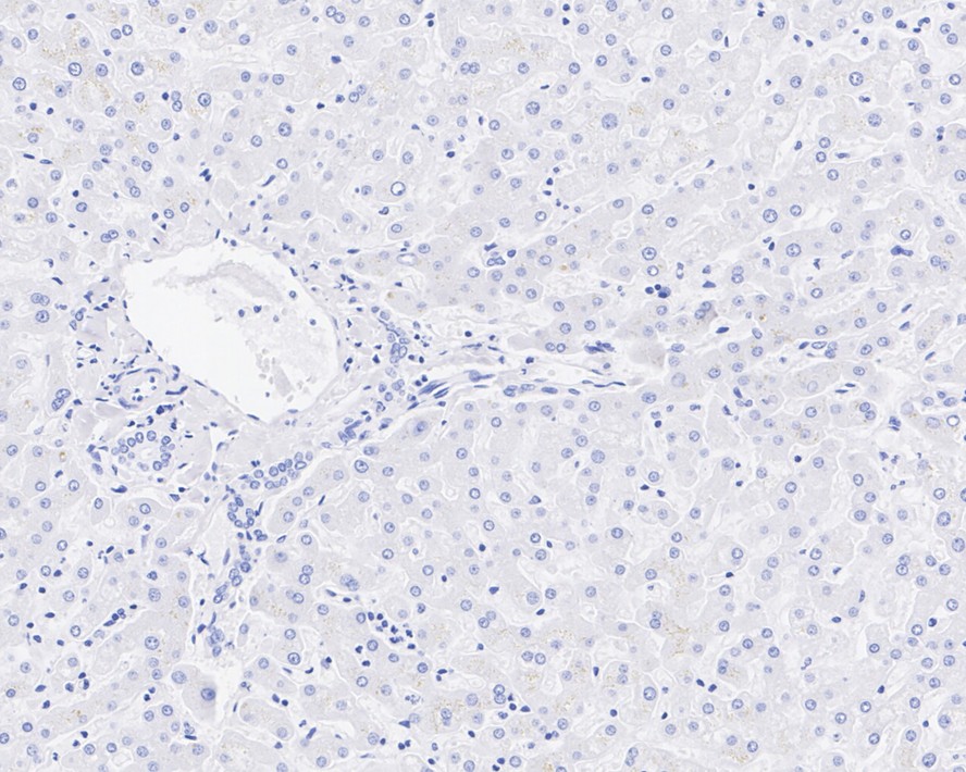 HA750807_3.jpg