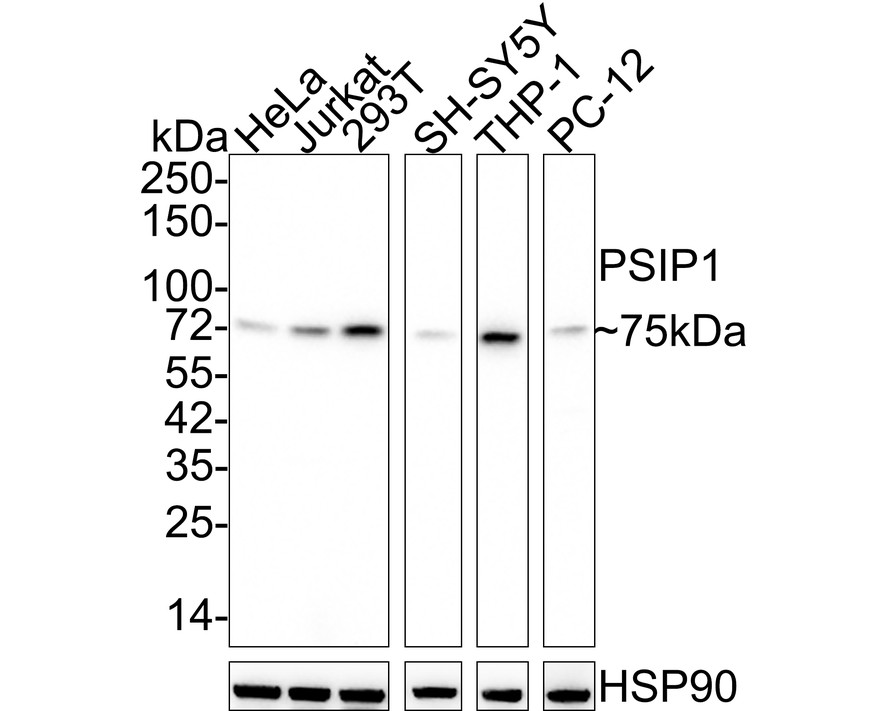 HA750818_1.jpg